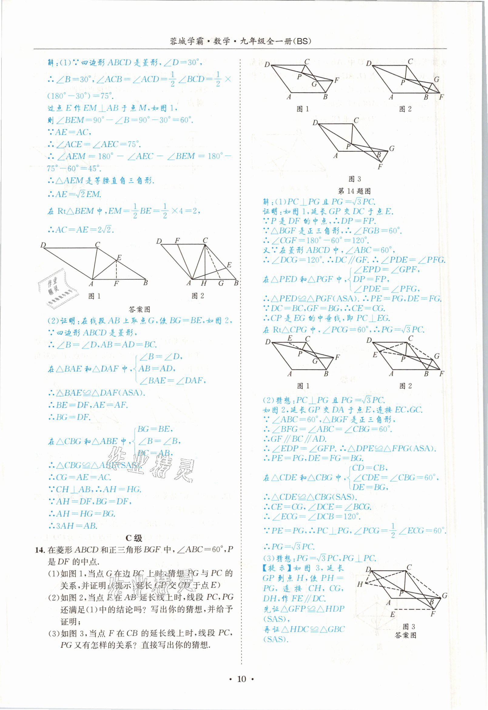 2021年蓉城学霸九年级数学全一册北师大版 参考答案第9页