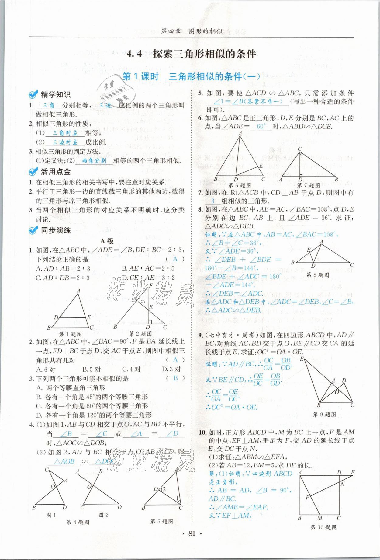 2021年蓉城學(xué)霸九年級數(shù)學(xué)全一冊北師大版 參考答案第80頁