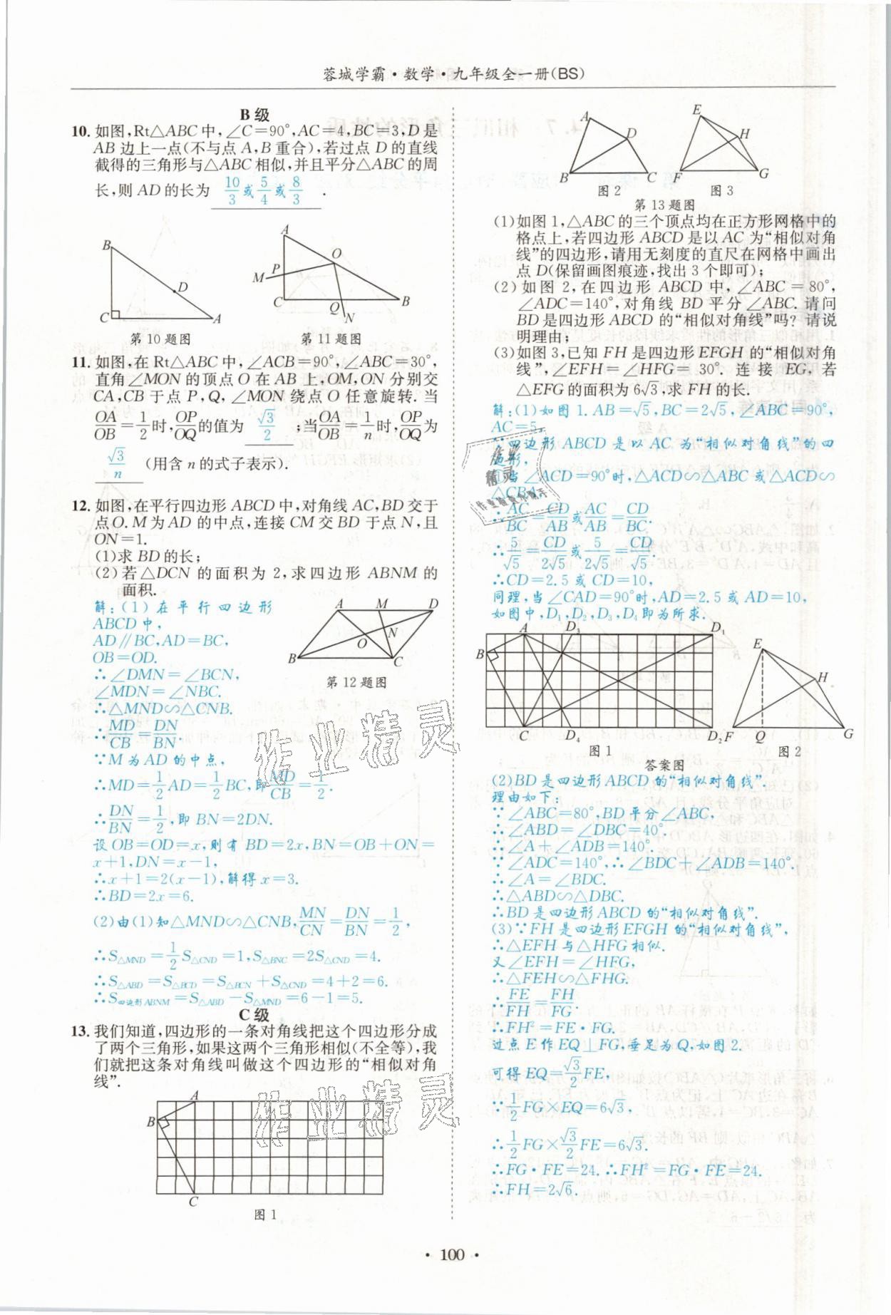 2021年蓉城学霸九年级数学全一册北师大版 参考答案第99页