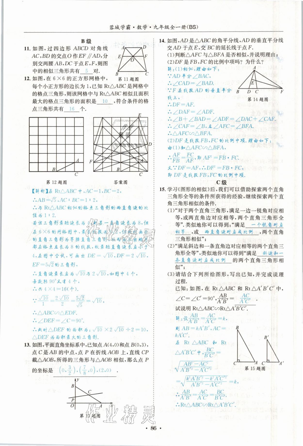 2021年蓉城学霸九年级数学全一册北师大版 参考答案第85页