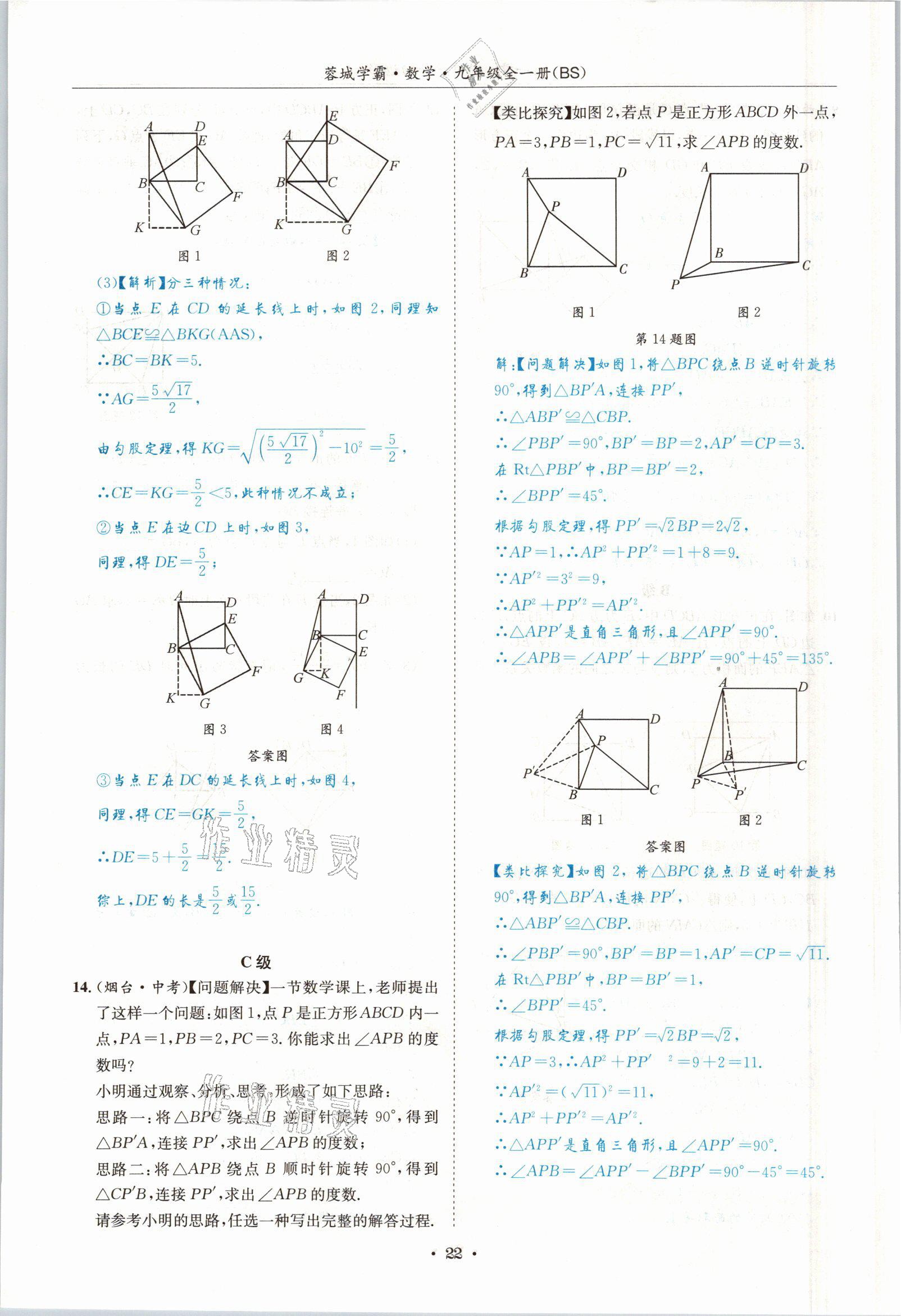 2021年蓉城學(xué)霸九年級數(shù)學(xué)全一冊北師大版 參考答案第21頁