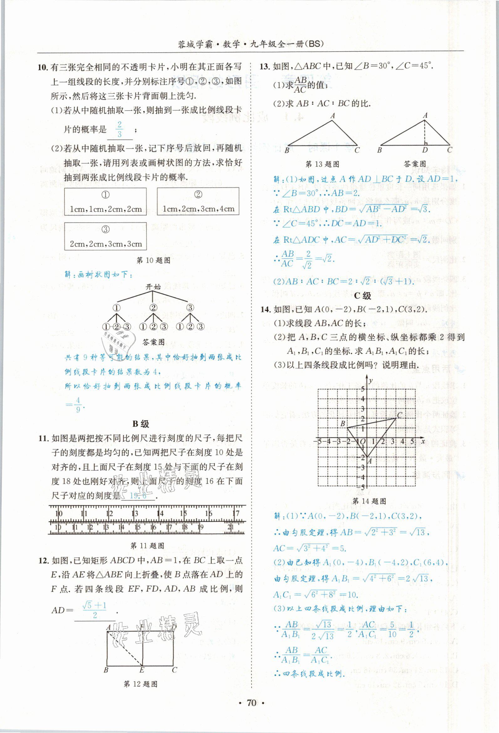 2021年蓉城學霸九年級數(shù)學全一冊北師大版 參考答案第69頁