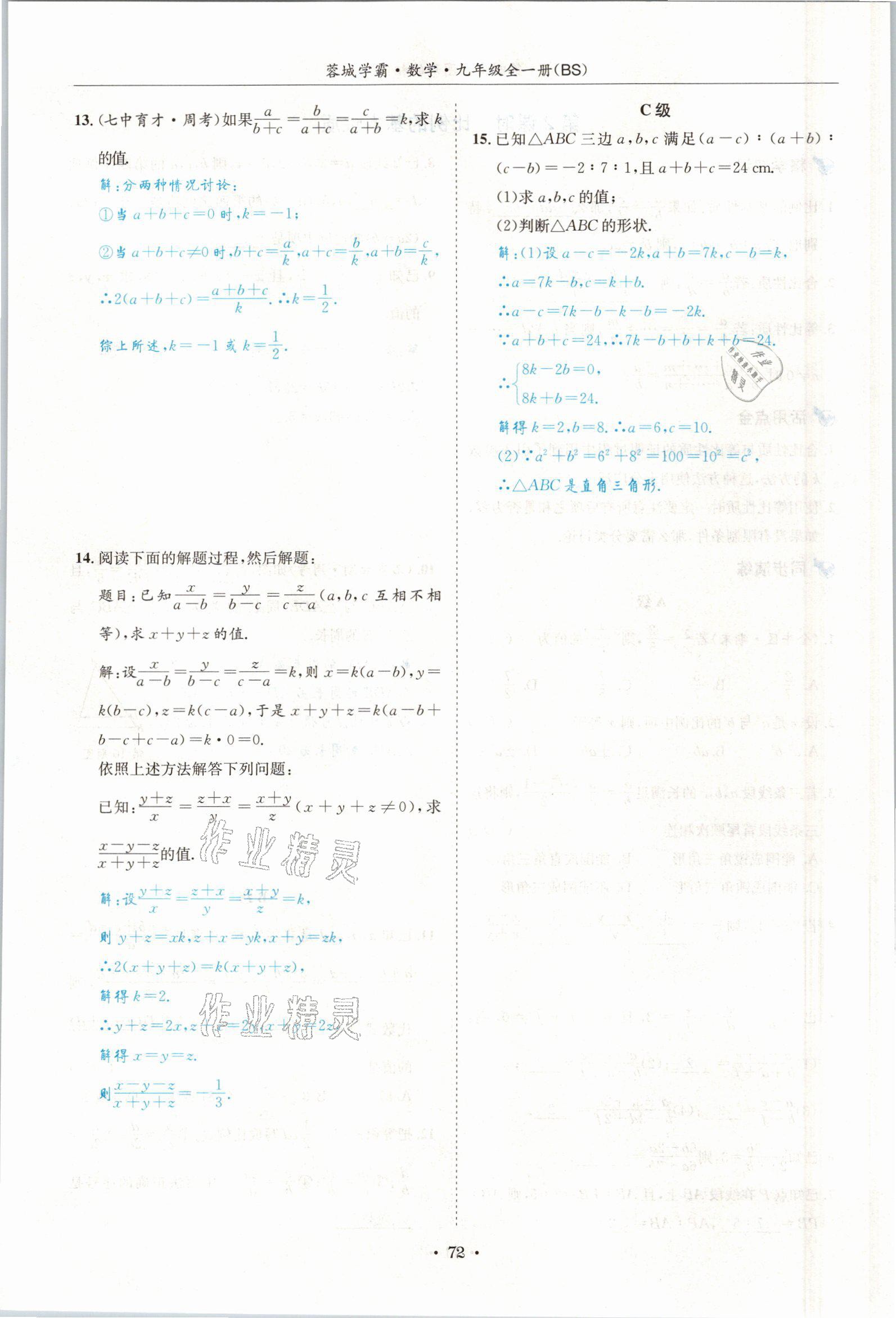 2021年蓉城学霸九年级数学全一册北师大版 参考答案第71页