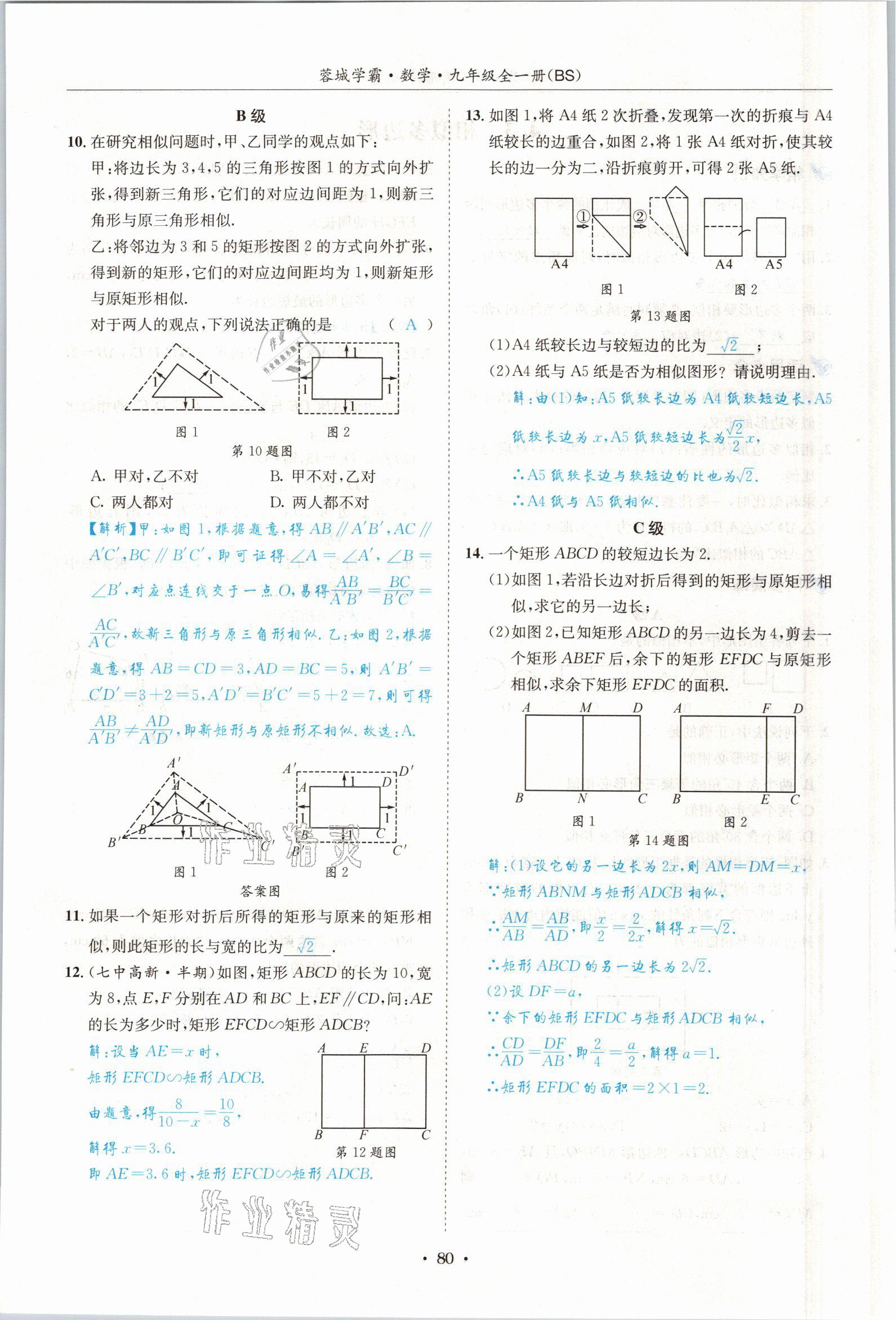 2021年蓉城學(xué)霸九年級(jí)數(shù)學(xué)全一冊(cè)北師大版 參考答案第79頁(yè)