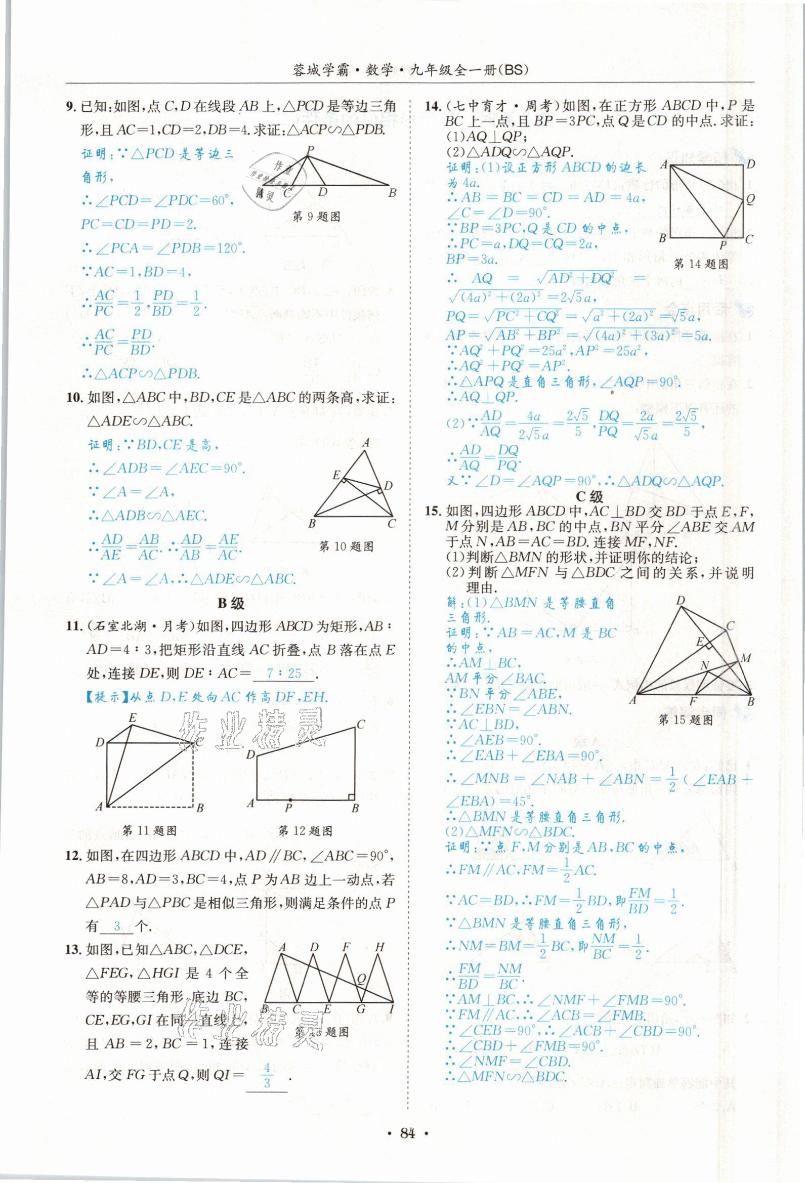 2021年蓉城学霸九年级数学全一册北师大版 参考答案第83页