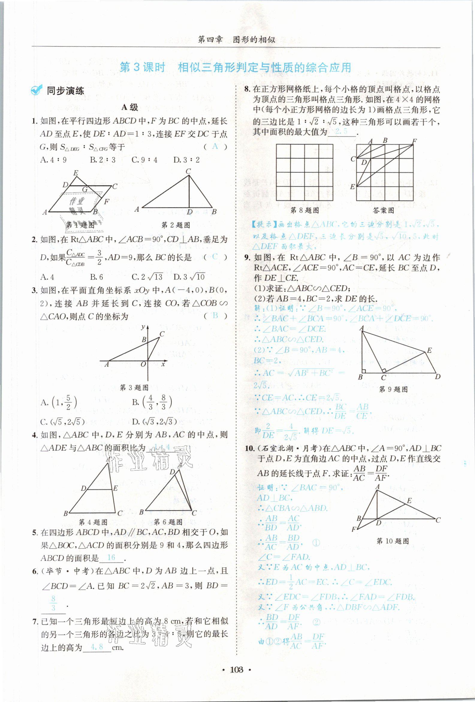 2021年蓉城學(xué)霸九年級(jí)數(shù)學(xué)全一冊(cè)北師大版 參考答案第102頁