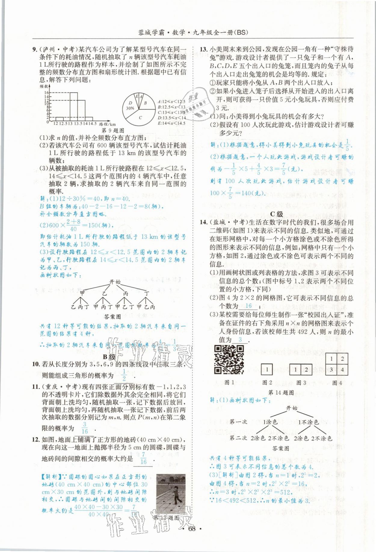 2021年蓉城學(xué)霸九年級數(shù)學(xué)全一冊北師大版 參考答案第67頁