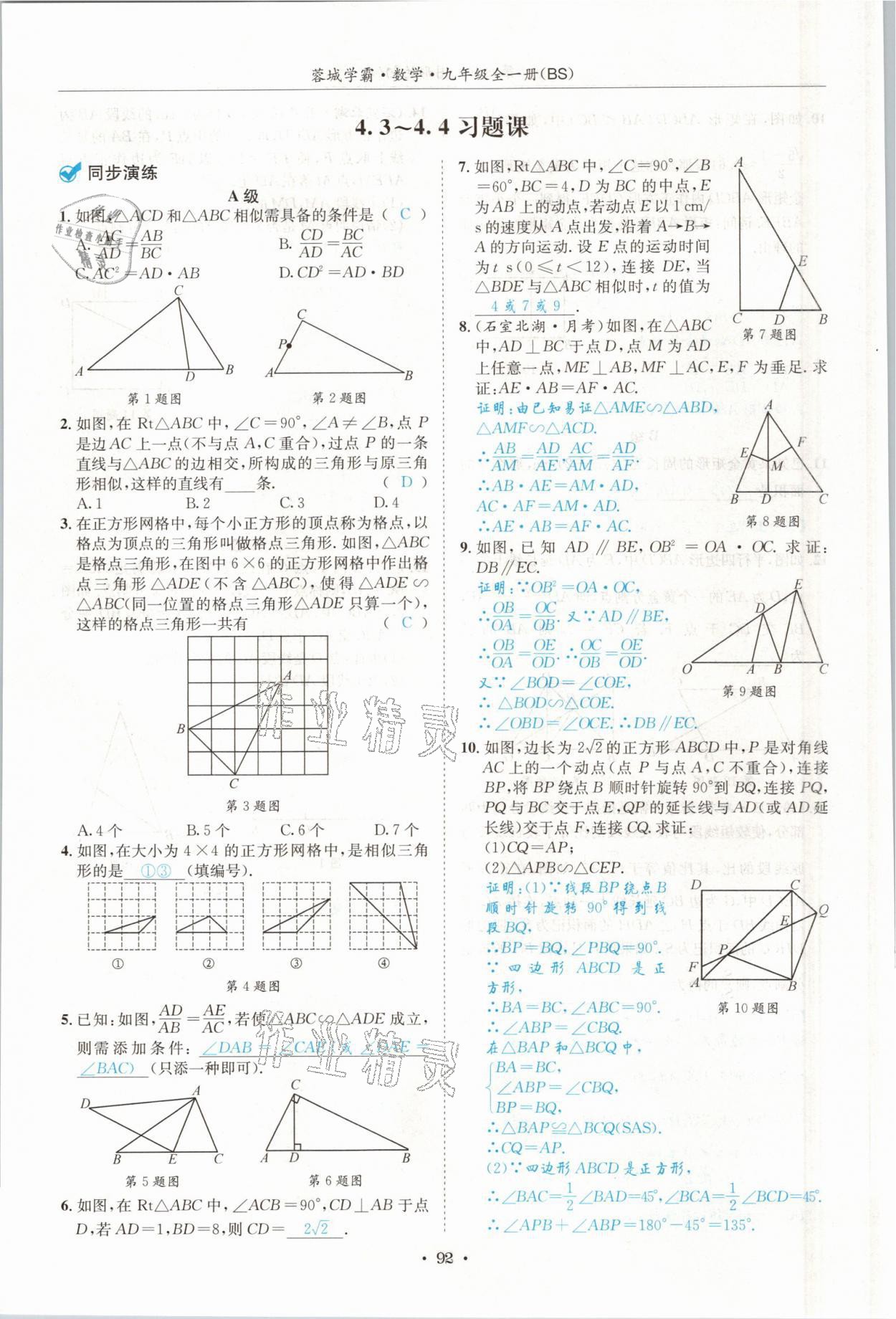 2021年蓉城學(xué)霸九年級(jí)數(shù)學(xué)全一冊(cè)北師大版 參考答案第91頁(yè)