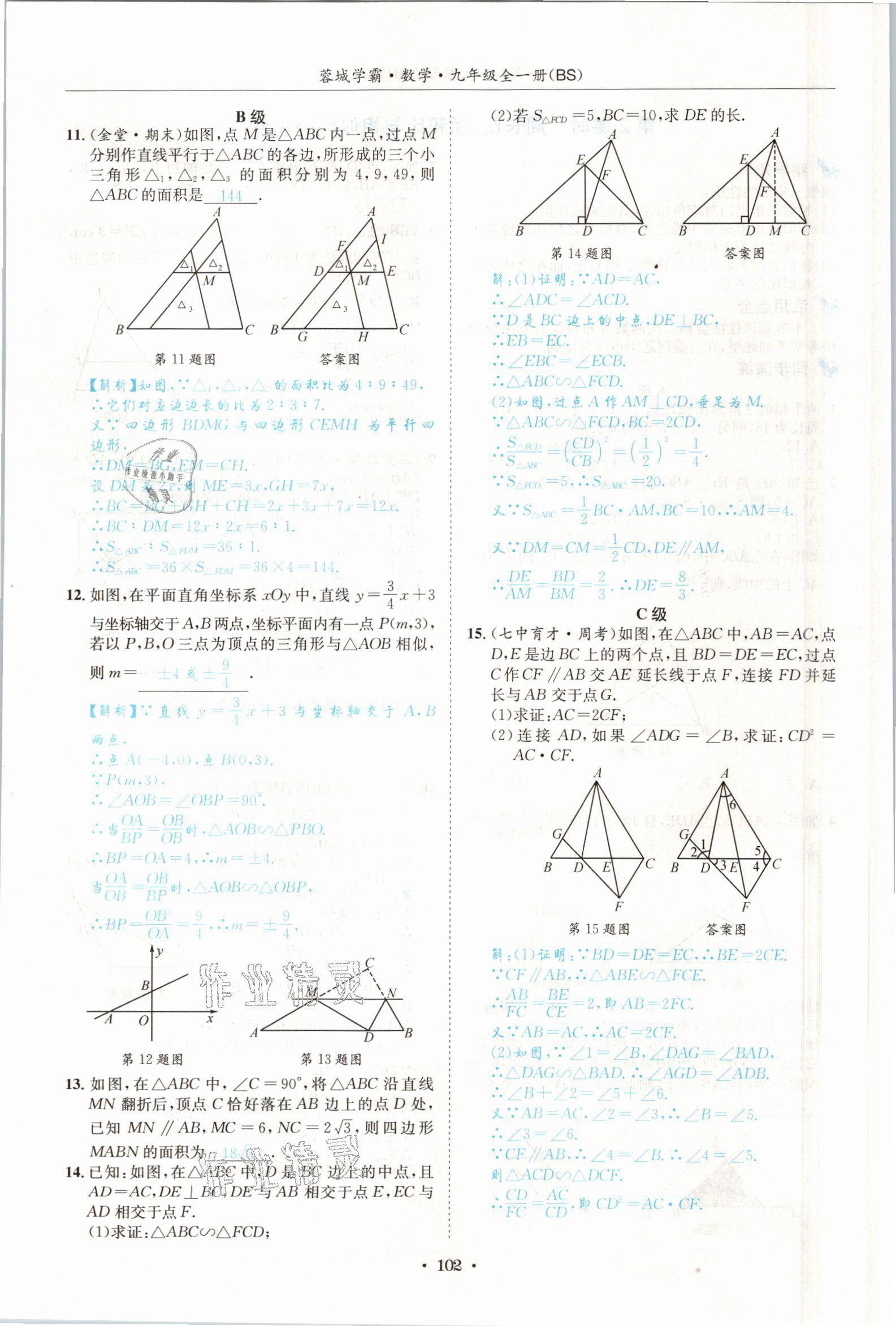 2021年蓉城學(xué)霸九年級(jí)數(shù)學(xué)全一冊(cè)北師大版 參考答案第101頁(yè)