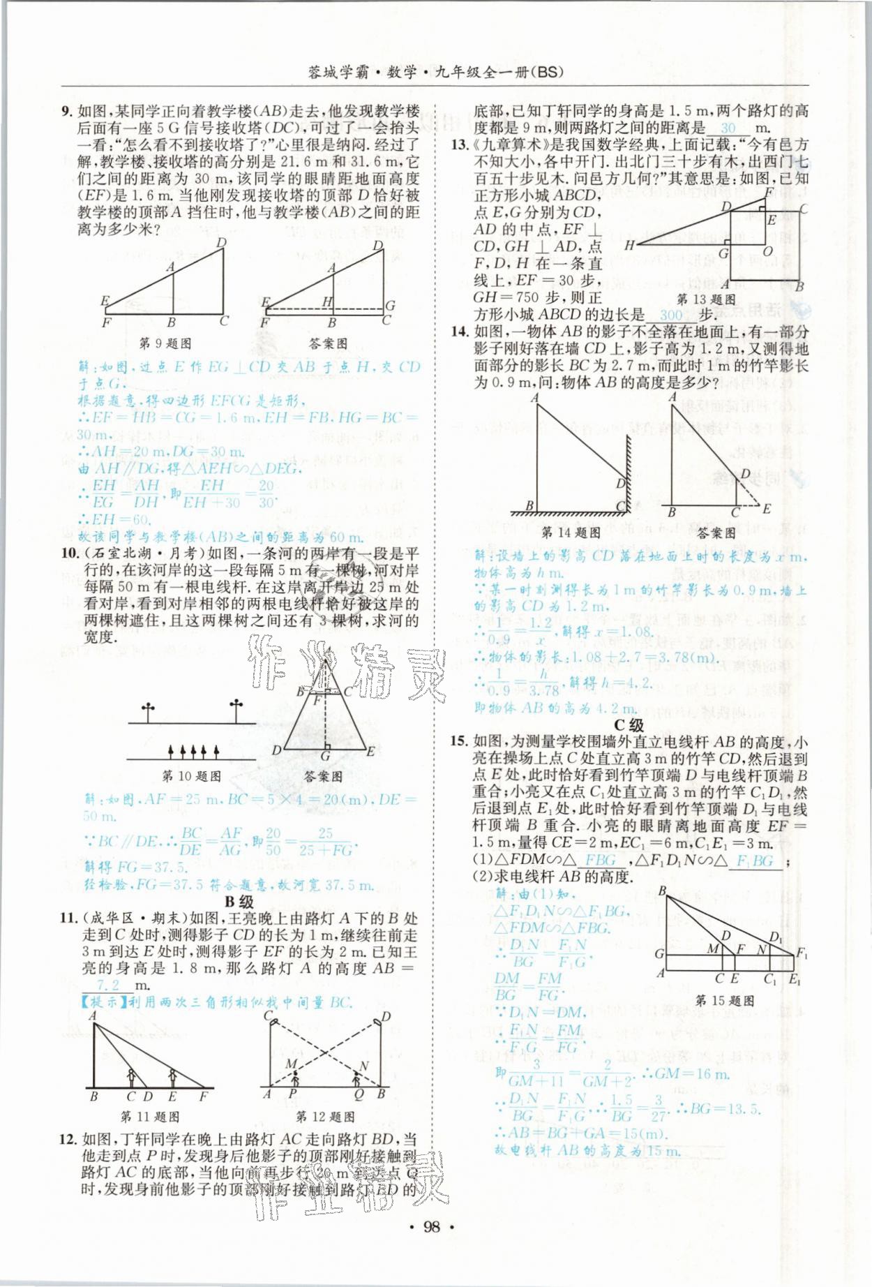 2021年蓉城学霸九年级数学全一册北师大版 参考答案第97页