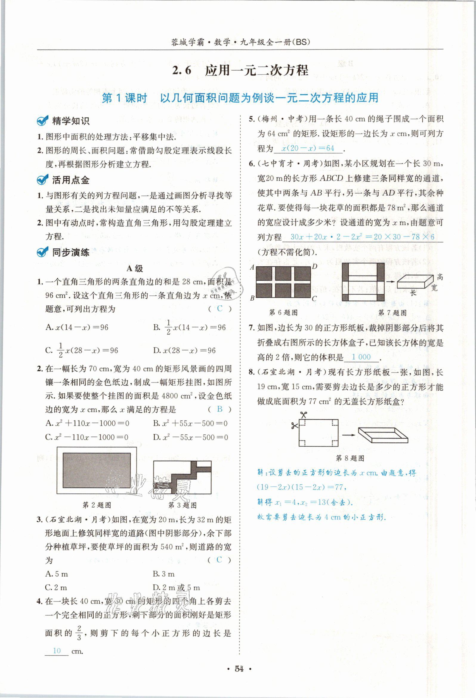 2021年蓉城学霸九年级数学全一册北师大版 参考答案第53页