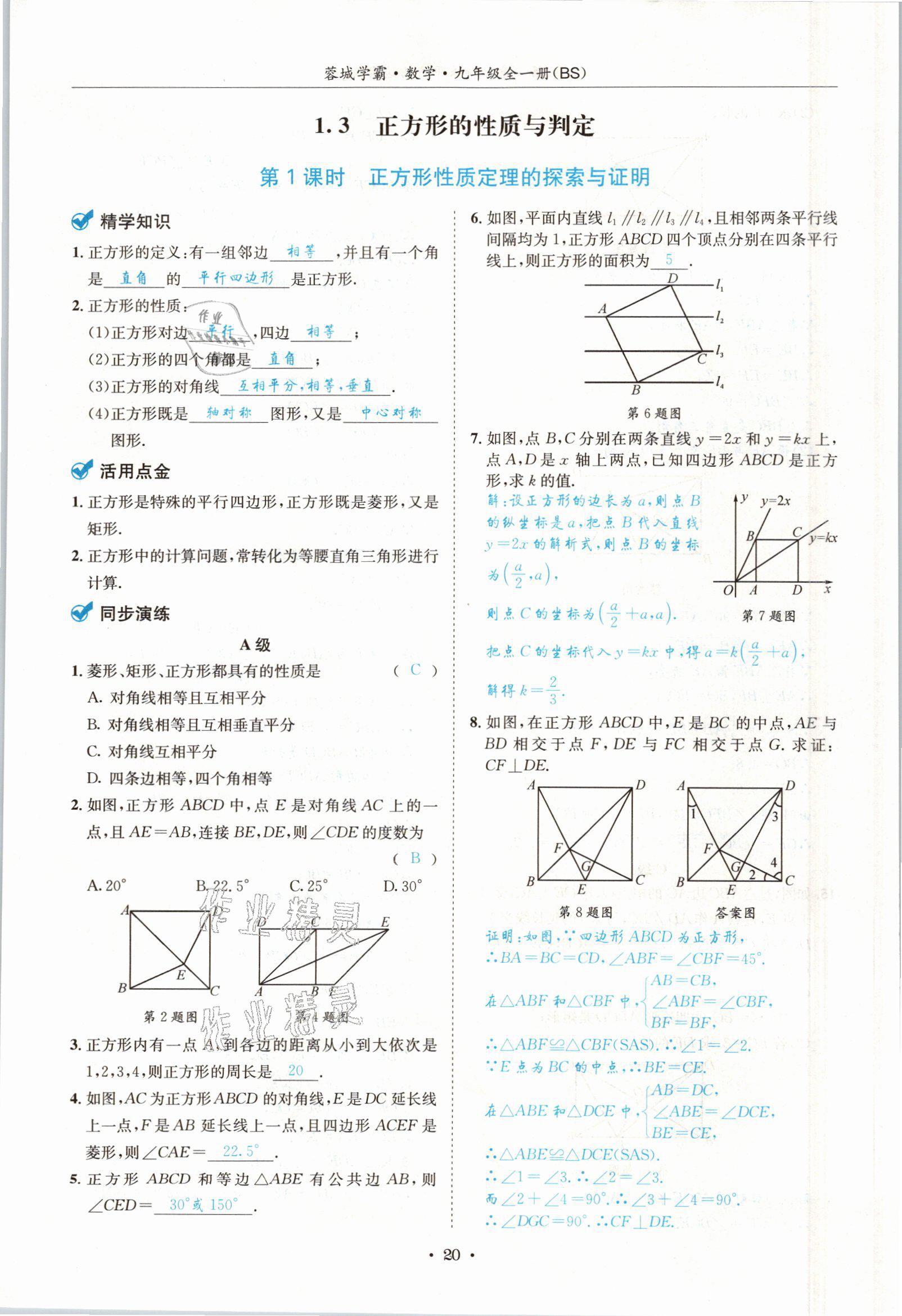 2021年蓉城學(xué)霸九年級數(shù)學(xué)全一冊北師大版 參考答案第19頁