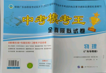 2021年中考模考王全真模擬試卷物理廣東專版