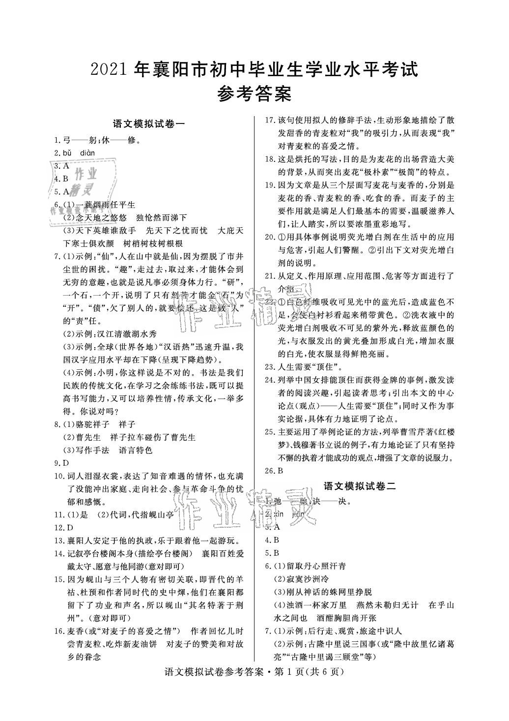 2021年全優(yōu)標(biāo)準(zhǔn)卷中考沖冠語文襄陽專版 參考答案第1頁