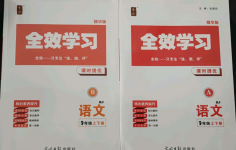 2021年全效學(xué)習(xí)九年級(jí)語(yǔ)文上下冊(cè)人教版精華版