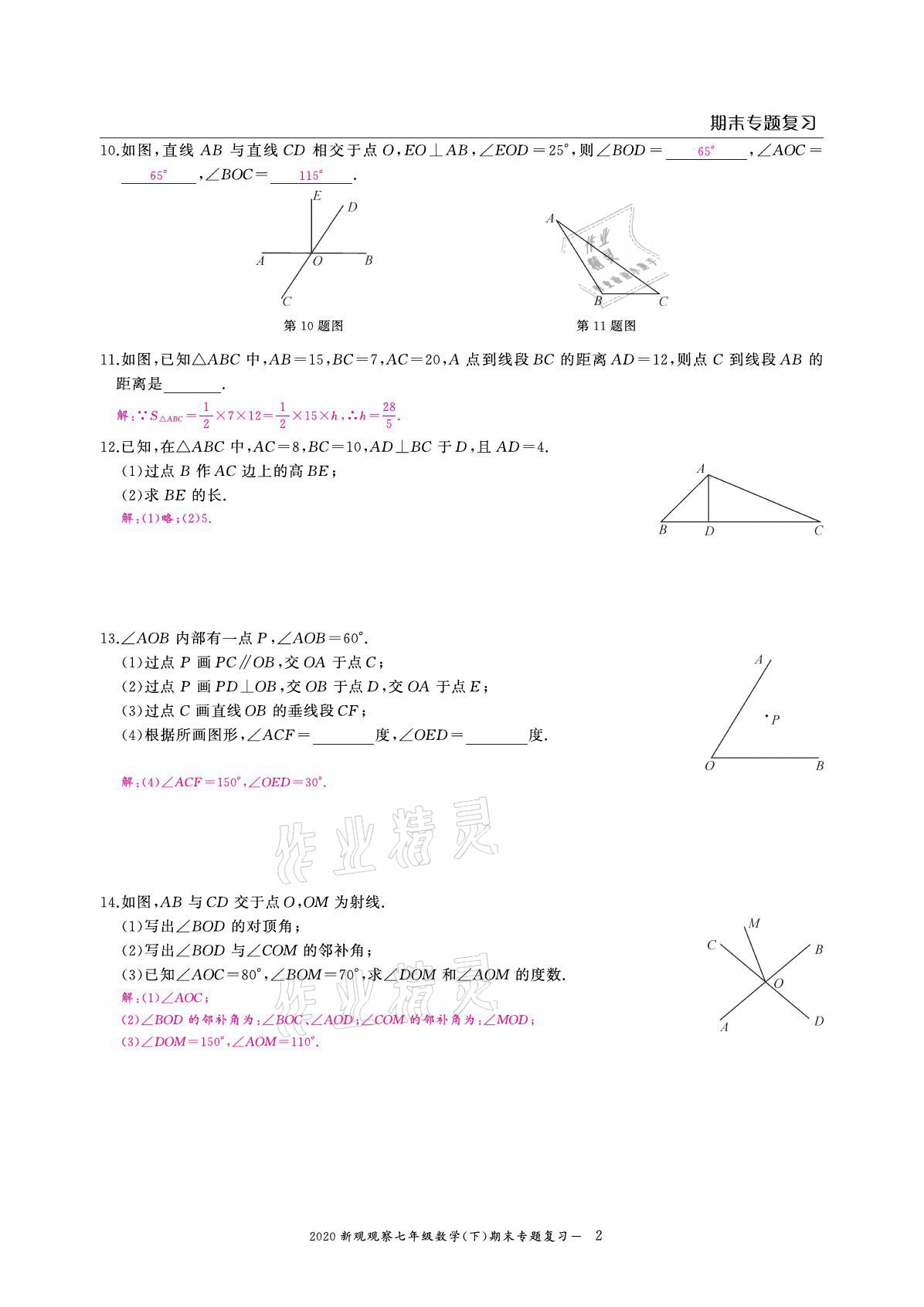 2021年思維新觀察期末復(fù)習(xí)專題七年級數(shù)學(xué)下冊人教版 參考答案第2頁