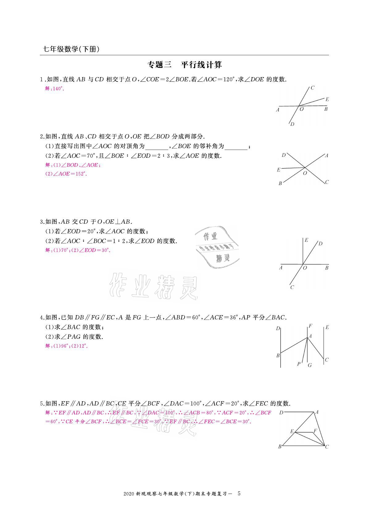 2021年思維新觀察期末復(fù)習(xí)專題七年級數(shù)學(xué)下冊人教版 參考答案第5頁