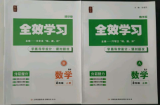 2021年全效學習課時提優(yōu)八年級數(shù)學上冊人教版精華版