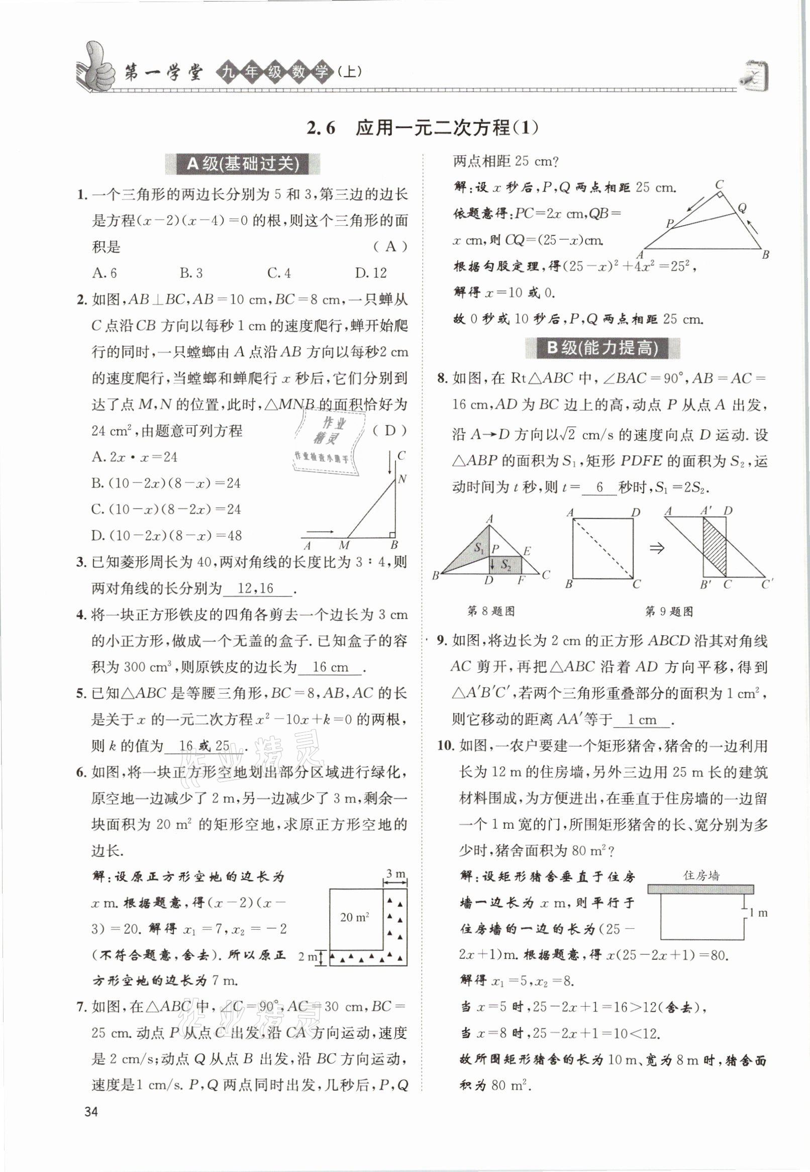 2021年第一学堂九年级数学上册北师大版 参考答案第60页