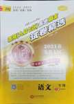 2021年王朝霞各地期末試卷精選二年級語文下冊人教版洛陽專版