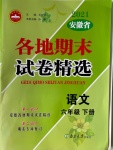 2021年超能學(xué)典各地期末試卷精選六年級(jí)語(yǔ)文下冊(cè)人教版安徽專(zhuān)版