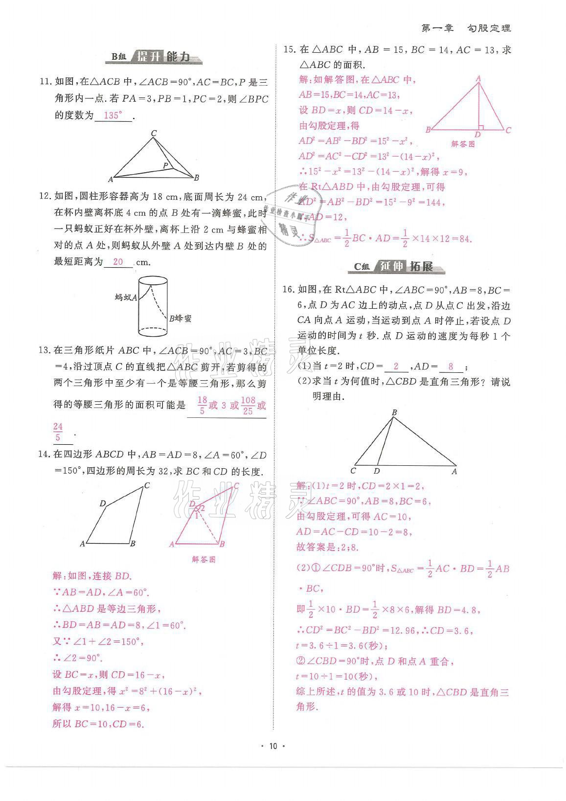 2021年蓉城优课堂给力A加八年级数学上册北师大版 参考答案第10页