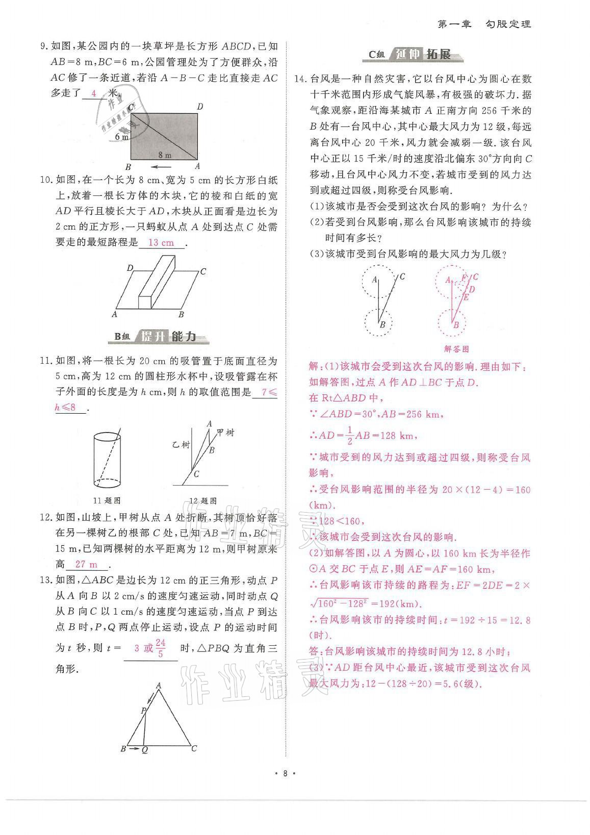 2021年蓉城优课堂给力A加八年级数学上册北师大版 参考答案第8页