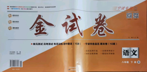 2021年金試卷天津科學(xué)技術(shù)出版社八年級語文下冊人教版寧波專版