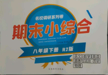 2021年名校調(diào)研系列卷期末小綜合八年級(jí)下冊(cè)人教版