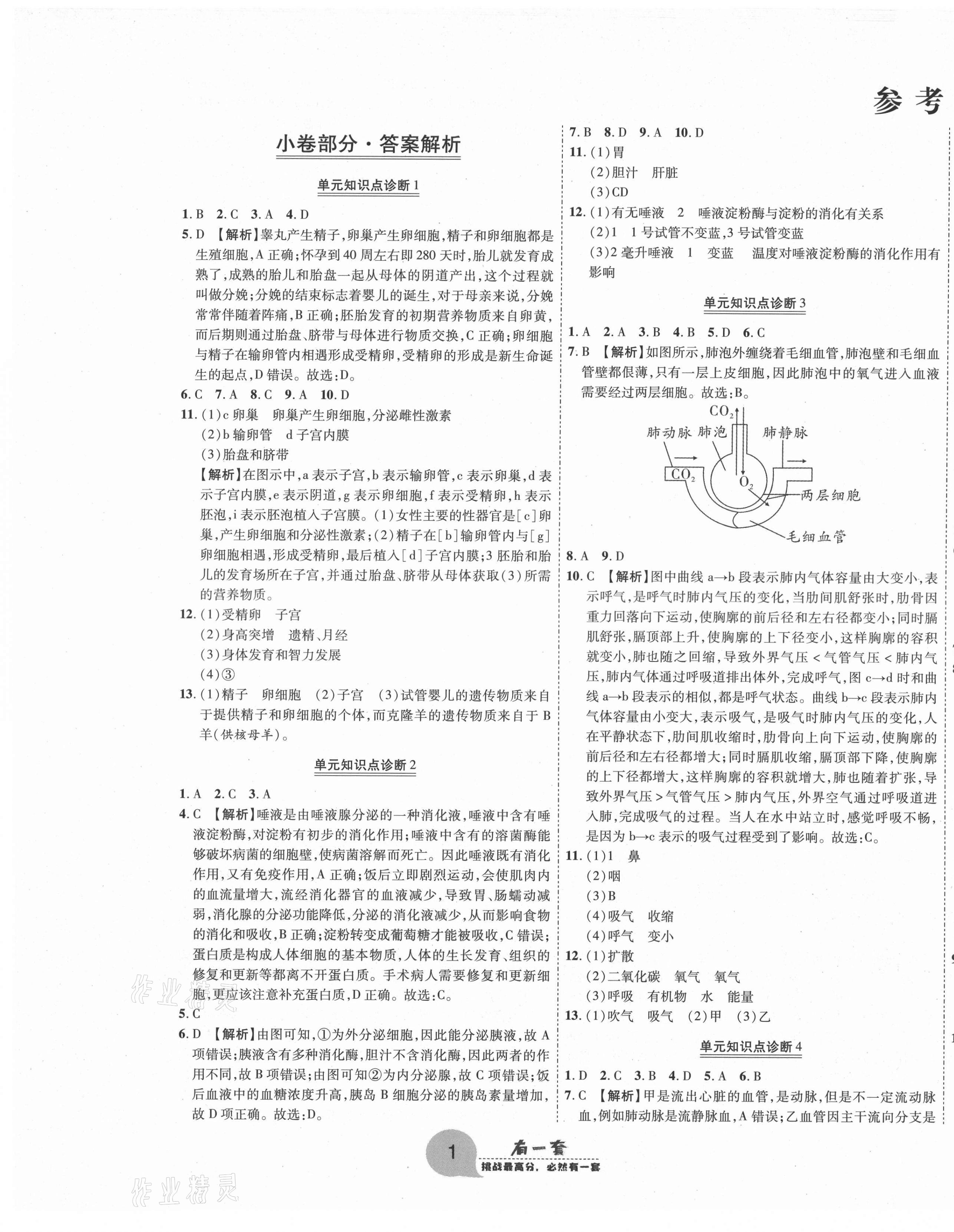 2021年有一套初中期末真題匯編七年級生物下冊人教版南陽專版 第1頁