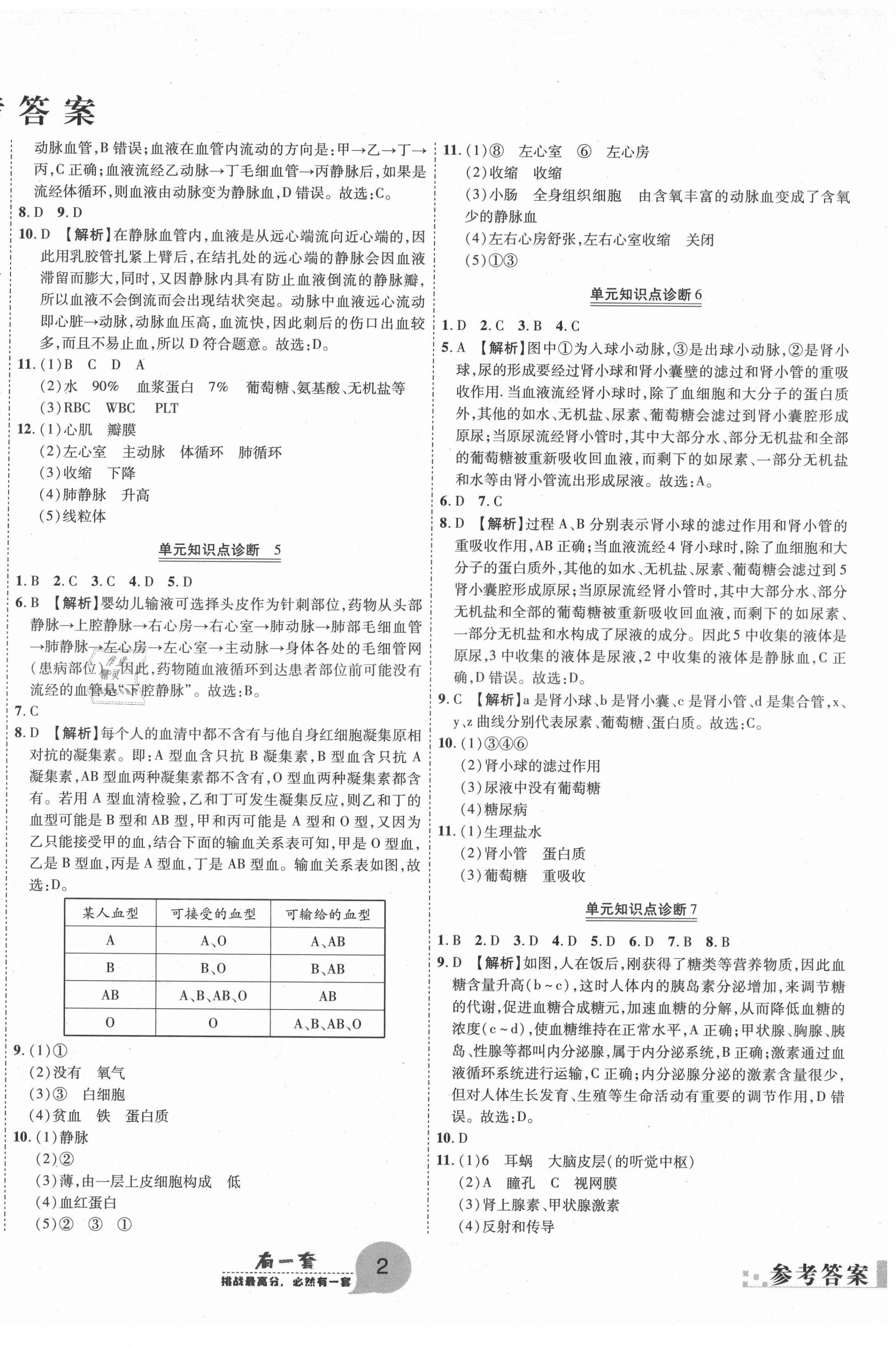 2021年有一套初中期末真題匯編七年級(jí)生物下冊(cè)人教版南陽(yáng)專(zhuān)版 第2頁(yè)