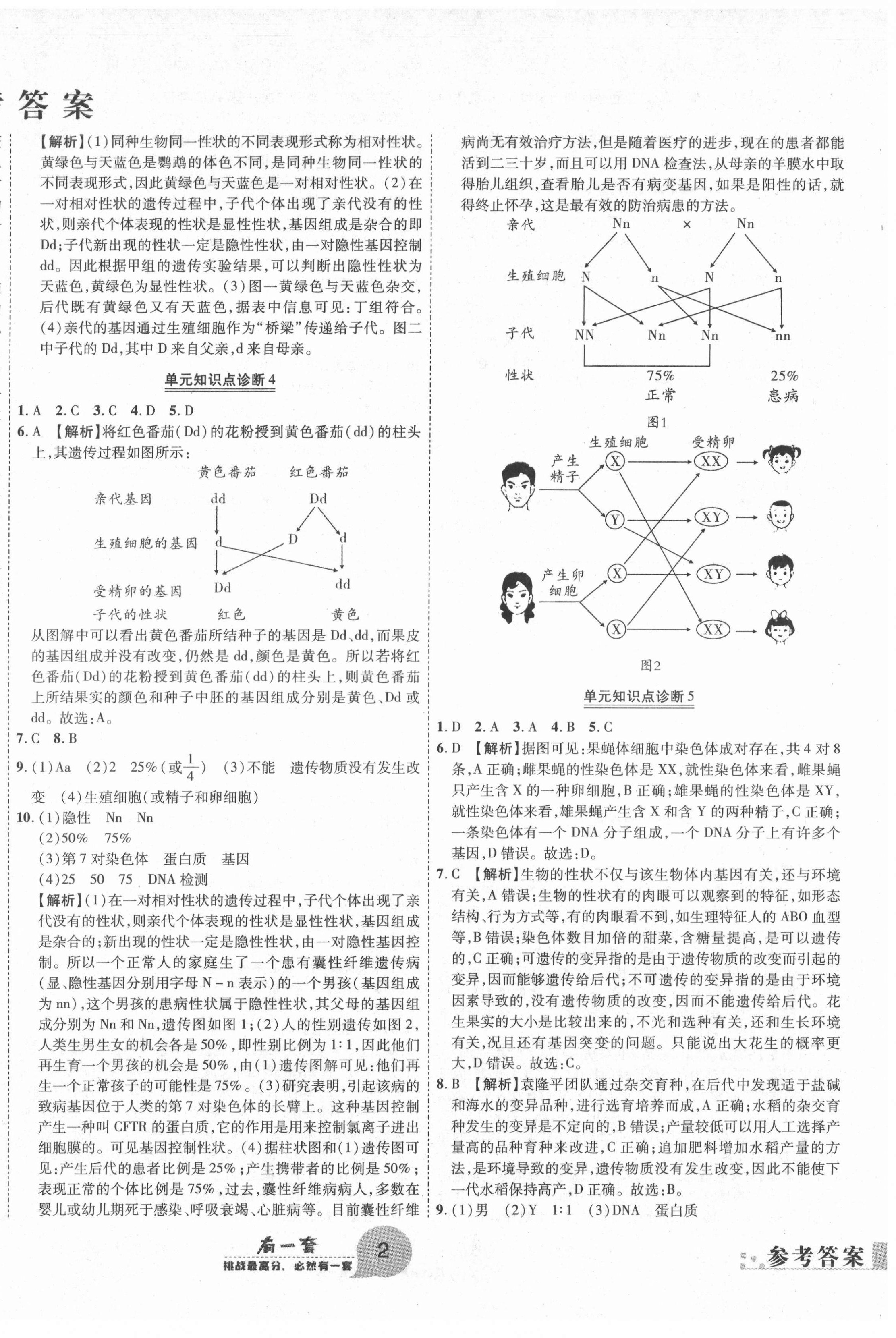 2021年有一套初中期末真題匯編八年級生物下冊人教版南陽專版 第2頁