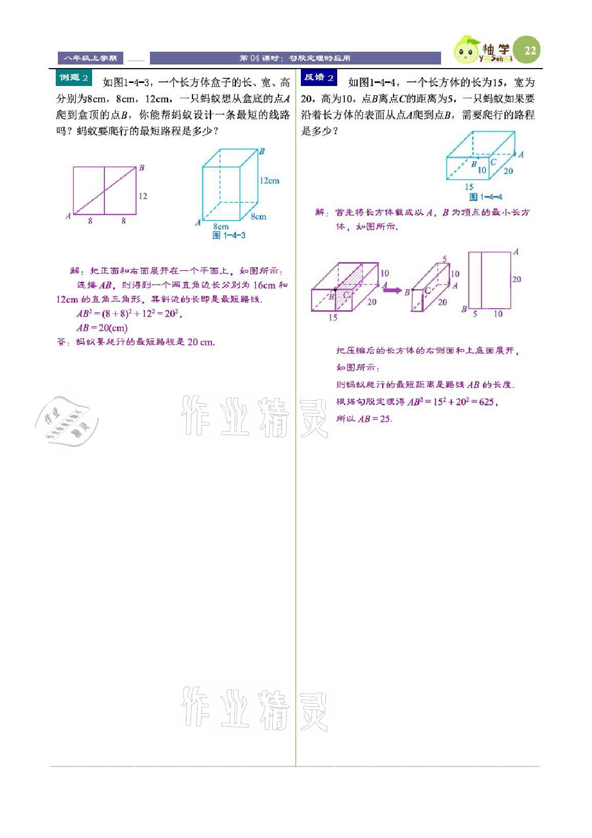 2021年課時(shí)分層教學(xué)方案探究八年級(jí)數(shù)學(xué)上冊(cè)北師大版 參考答案第22頁(yè)