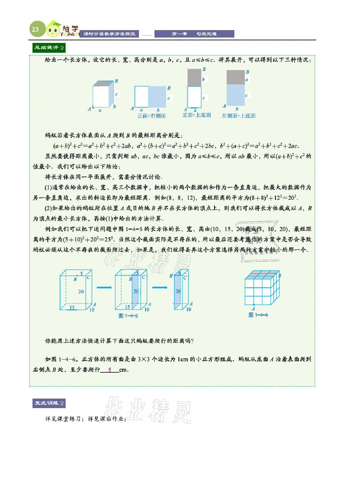 2021年課時分層教學方案探究八年級數(shù)學上冊北師大版 參考答案第23頁