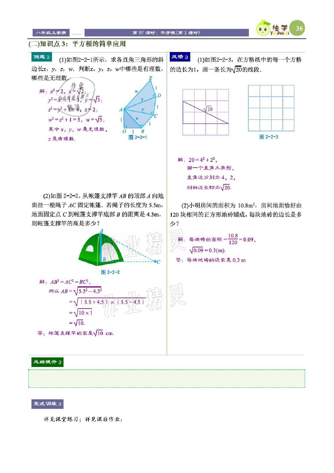 2021年課時分層教學(xué)方案探究八年級數(shù)學(xué)上冊北師大版 參考答案第36頁