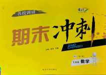 2021年名校调研期末冲刺七年级数学下册人教版