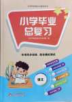 2021年小学毕业总复习语文人教版北京教育出版社