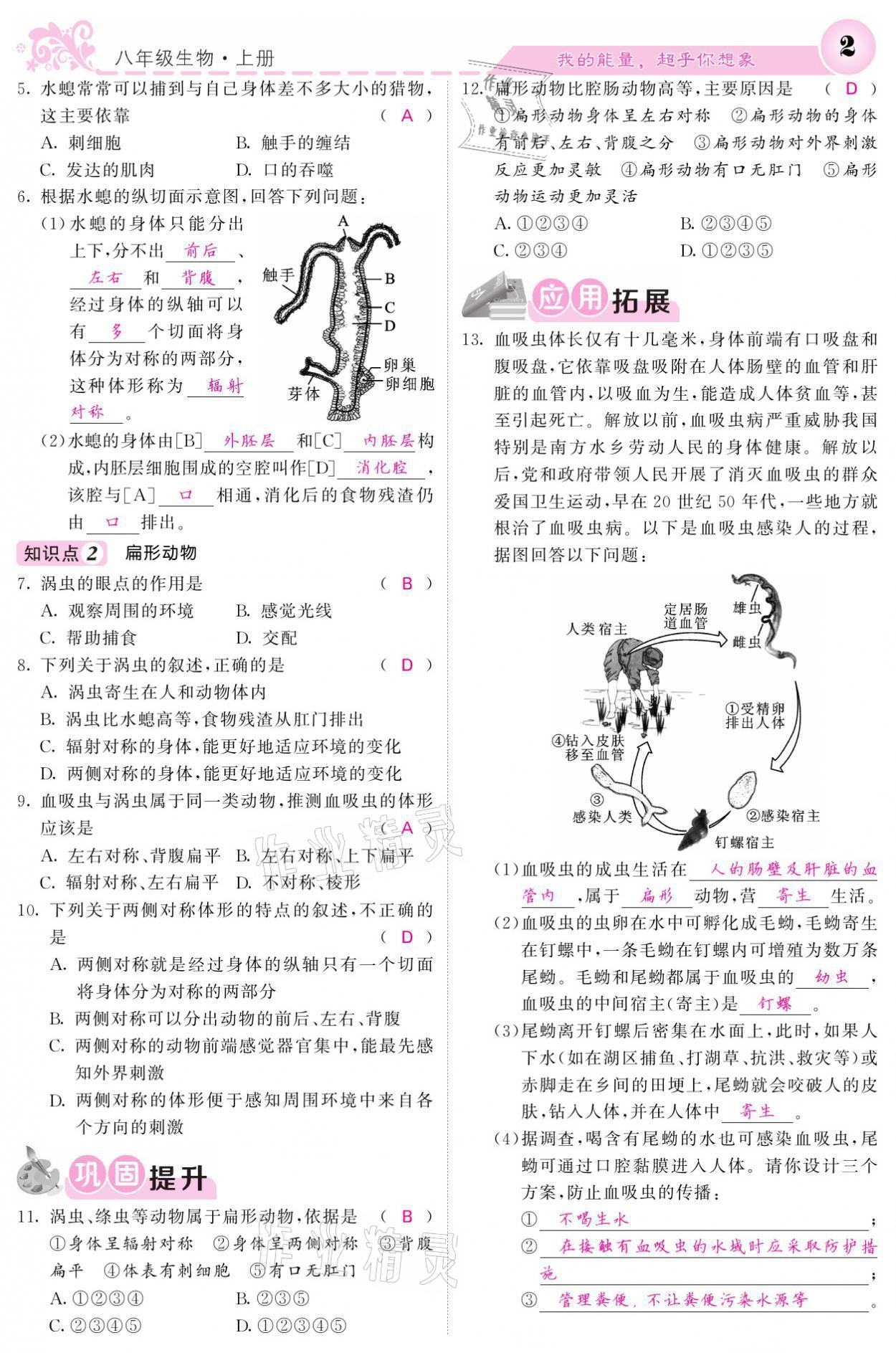 2021年課堂點睛八年級生物上冊人教版寧夏專版 參考答案第2頁