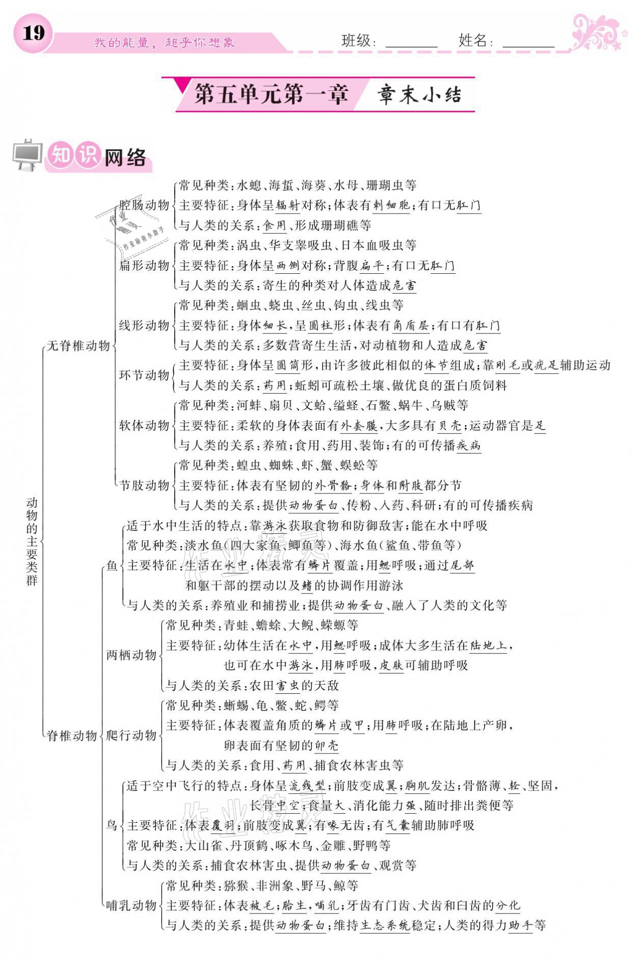 2021年課堂點(diǎn)睛八年級(jí)生物上冊(cè)人教版寧夏專版 參考答案第19頁(yè)