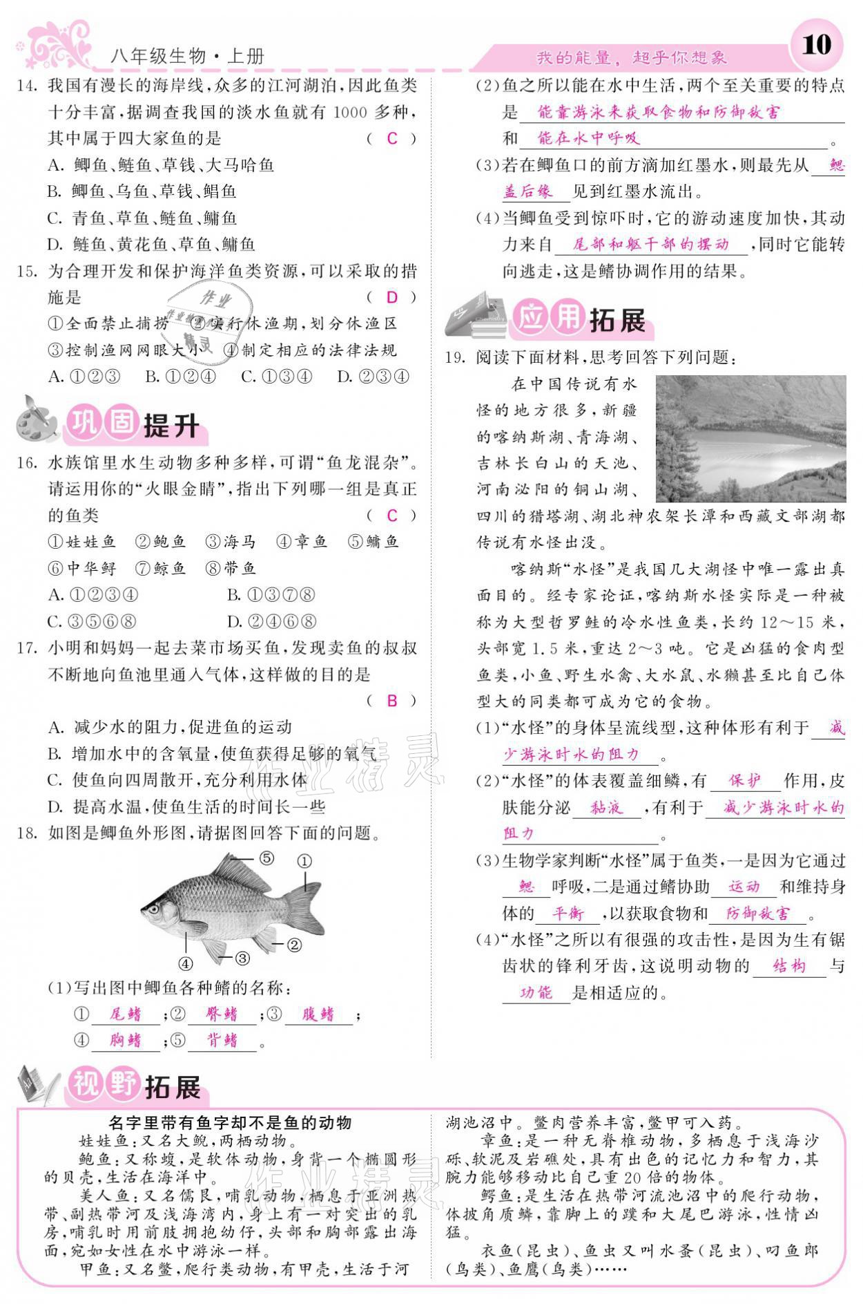 2021年課堂點(diǎn)睛八年級生物上冊人教版寧夏專版 參考答案第10頁