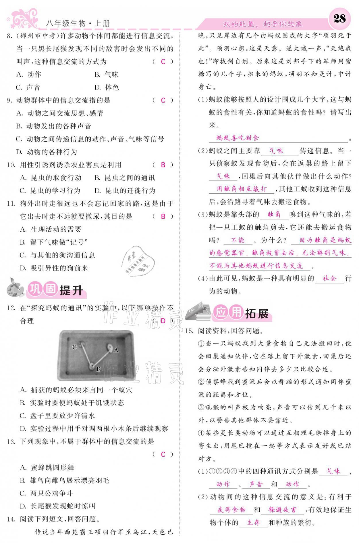 2021年課堂點(diǎn)睛八年級(jí)生物上冊(cè)人教版寧夏專版 參考答案第28頁(yè)