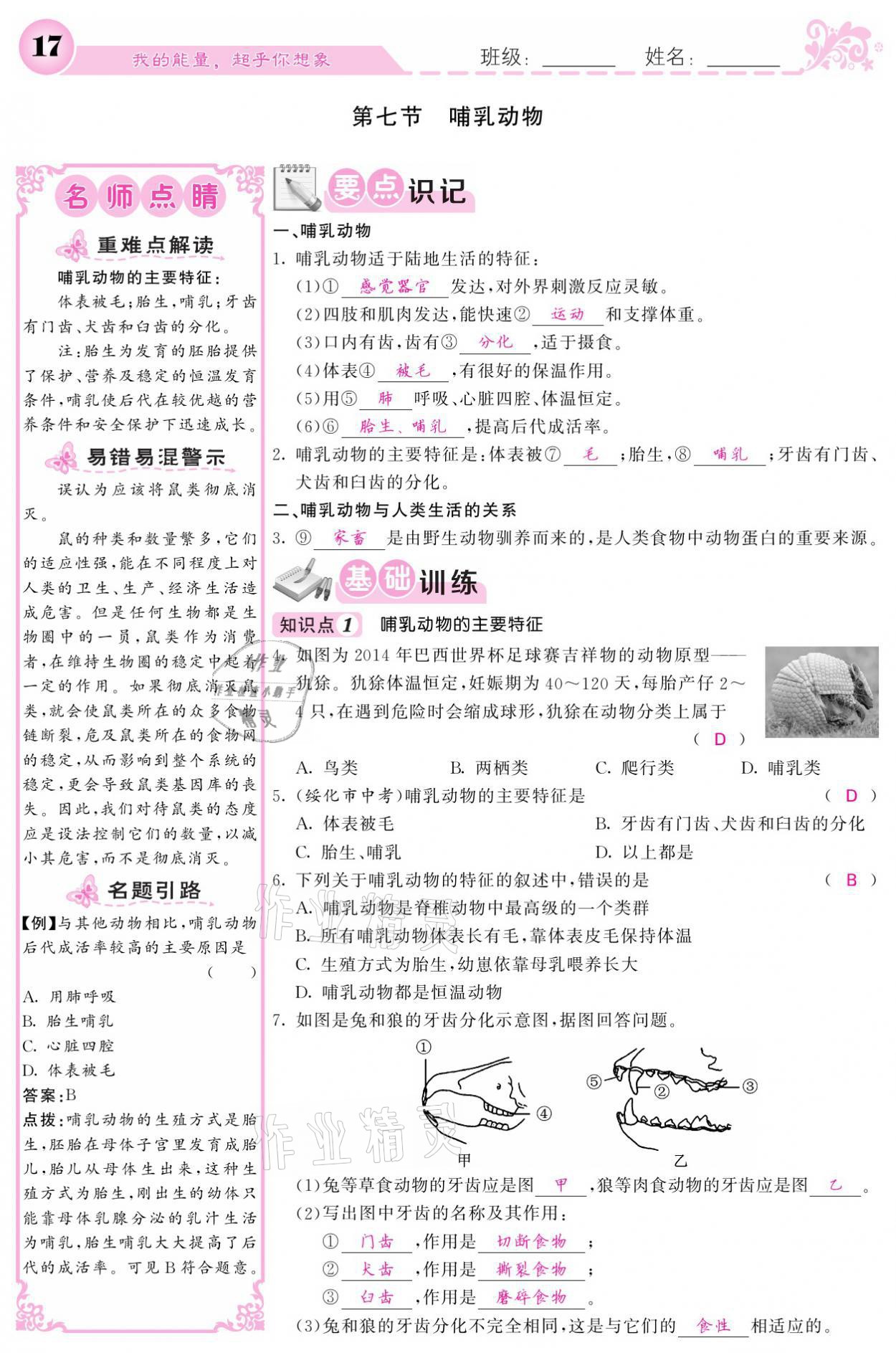 2021年課堂點(diǎn)睛八年級(jí)生物上冊(cè)人教版寧夏專版 參考答案第17頁(yè)