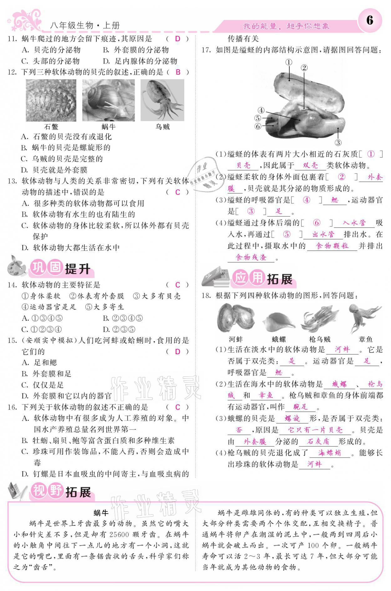 2021年課堂點睛八年級生物上冊人教版寧夏專版 參考答案第6頁