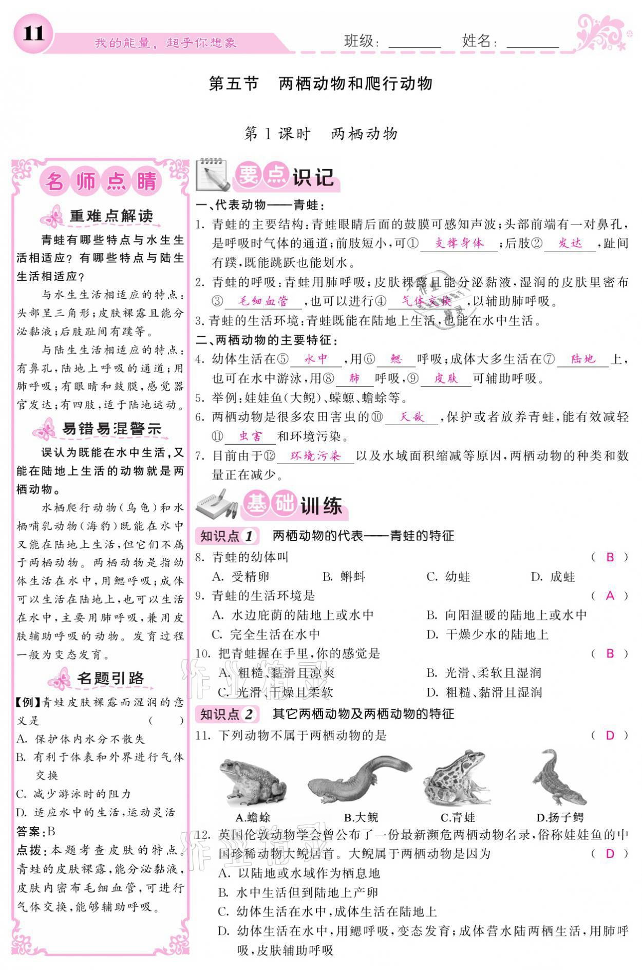 2021年課堂點(diǎn)睛八年級(jí)生物上冊(cè)人教版寧夏專版 參考答案第11頁