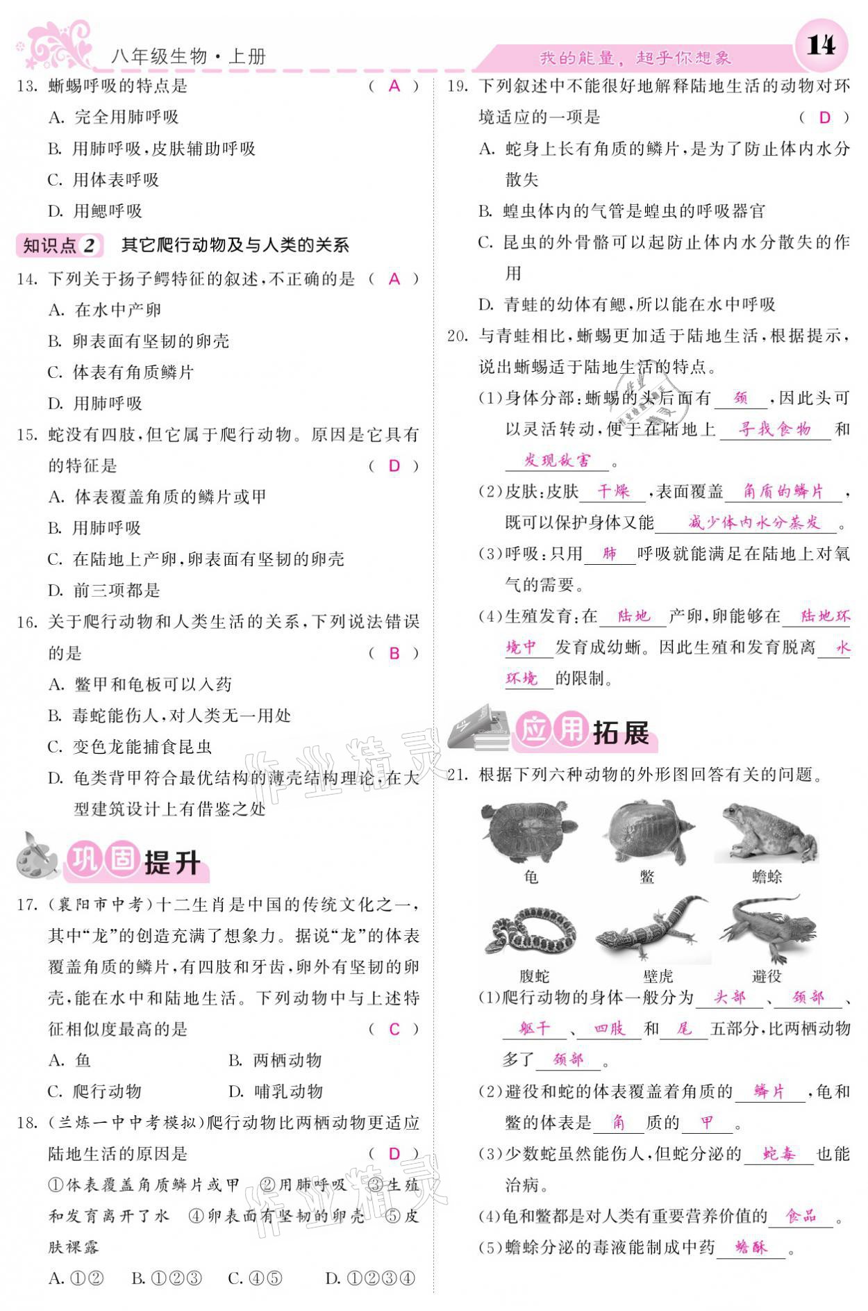 2021年課堂點(diǎn)睛八年級生物上冊人教版寧夏專版 參考答案第14頁