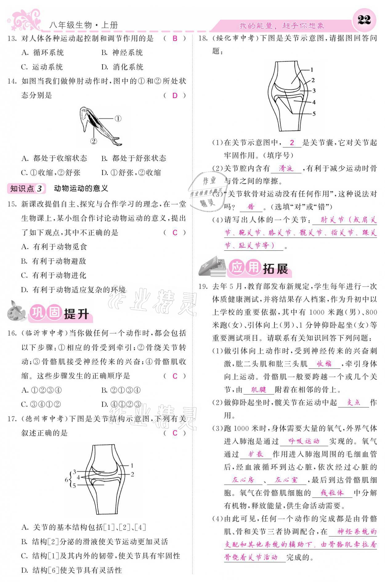 2021年課堂點睛八年級生物上冊人教版寧夏專版 參考答案第22頁