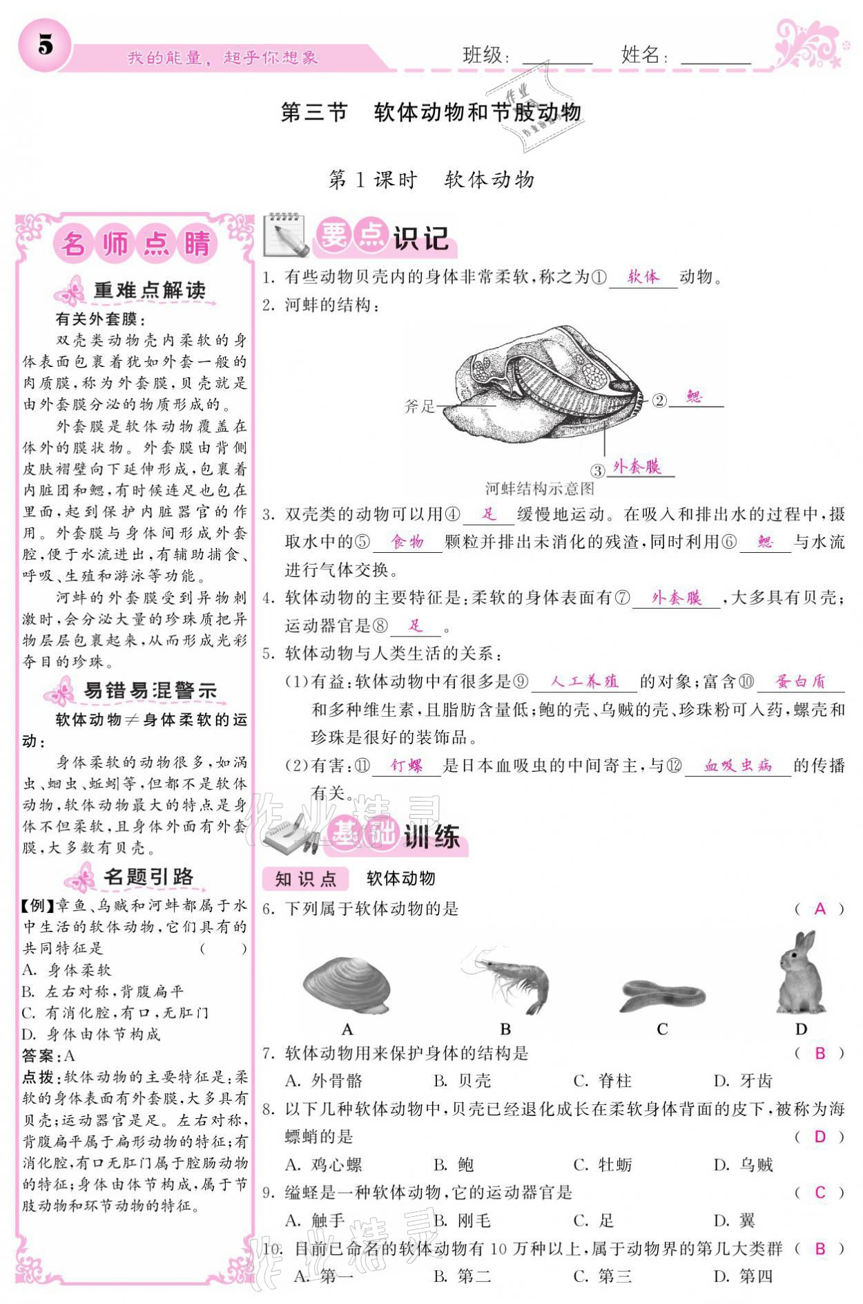 2021年課堂點睛八年級生物上冊人教版寧夏專版 參考答案第5頁