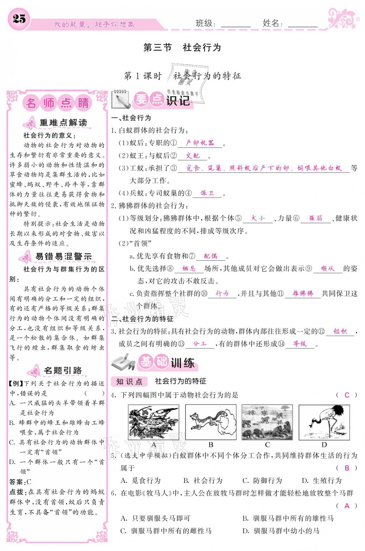 2021年課堂點(diǎn)睛八年級(jí)生物上冊人教版寧夏專版 參考答案第25頁