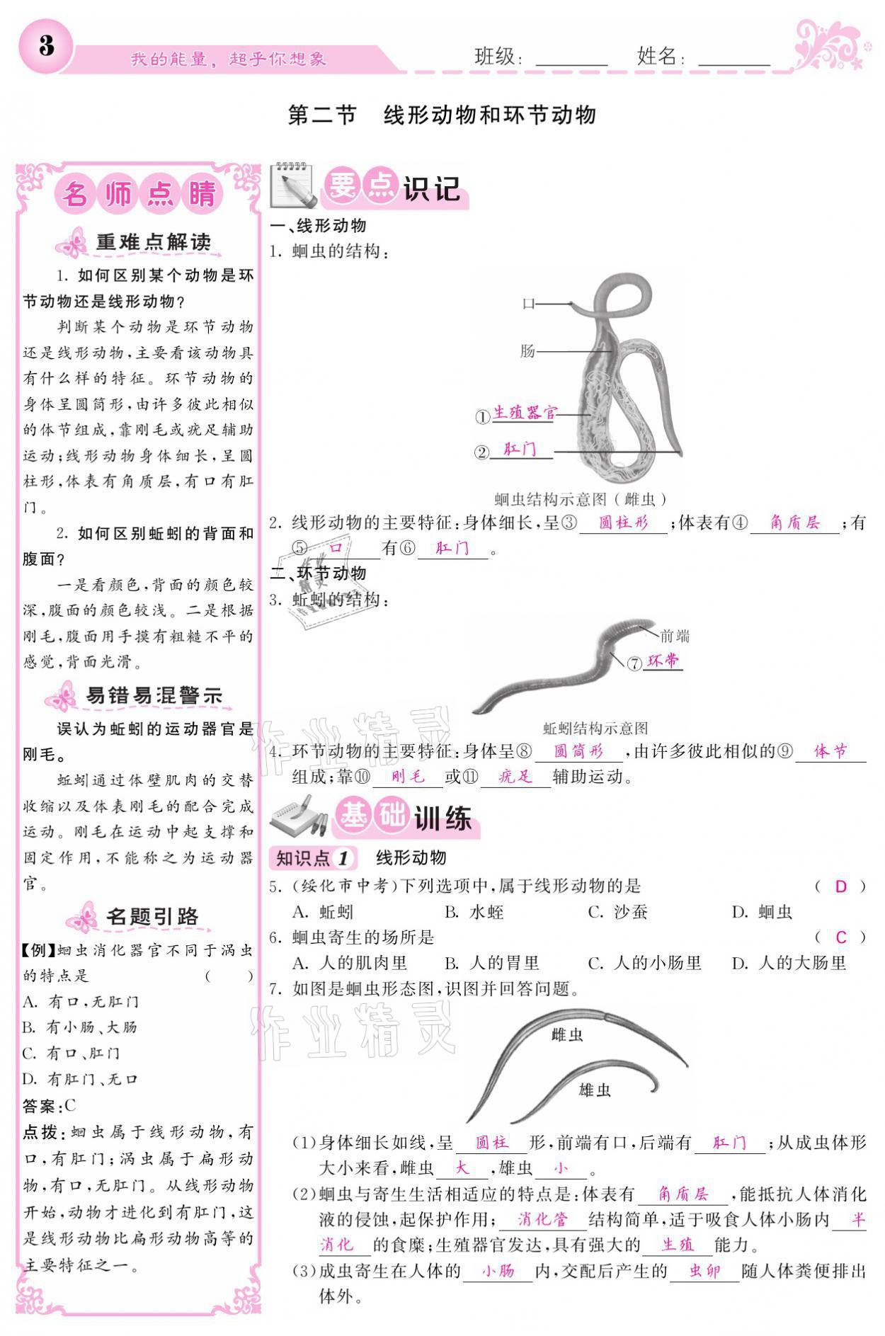 2021年課堂點(diǎn)睛八年級(jí)生物上冊(cè)人教版寧夏專版 參考答案第3頁(yè)