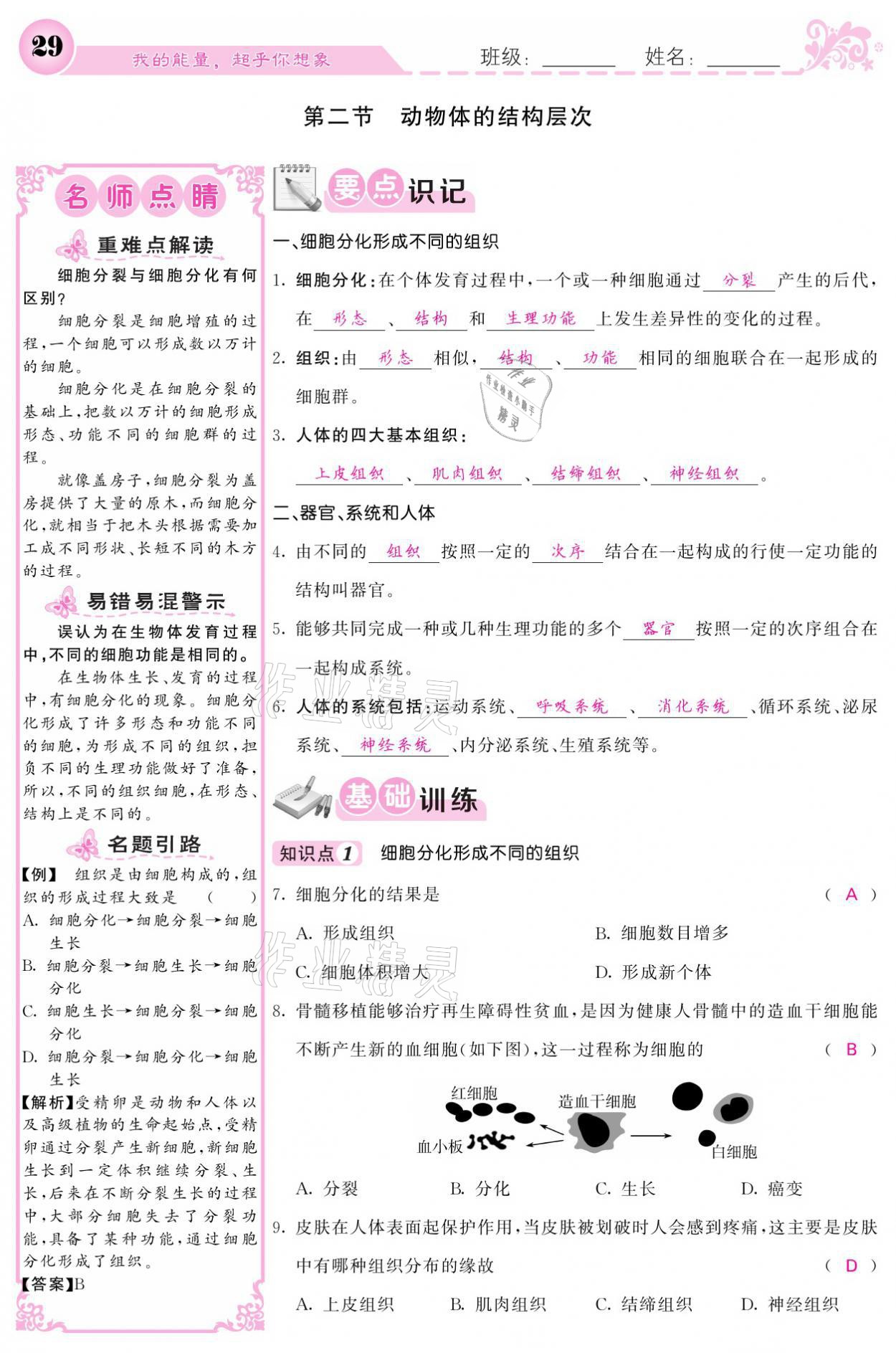 2021年課堂點睛七年級生物上冊人教版寧夏專版 參考答案第29頁